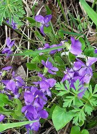 Это для тех, кто не может развить всю эту гадость.