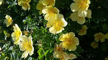 Это для тех, кто не может развить всю эту гадость.