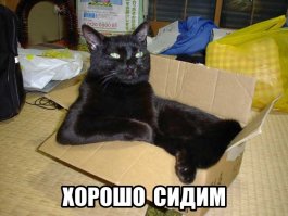 Эх, хорошо сидим!