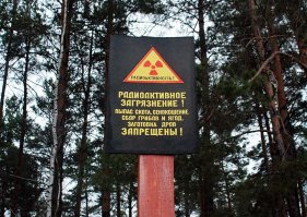 Открытие грибного сезона 2016