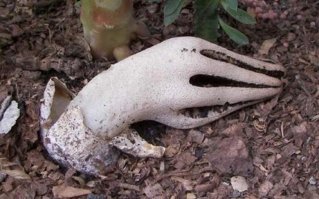 этой фотки не хватает