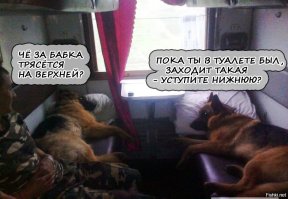 Зачем брать билеты на нижнюю полку в купе, если всё равно её надо уступать?