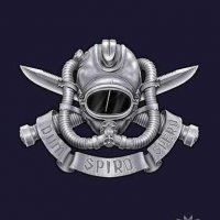 Боевые пловцы. Элита элит