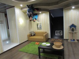 12 невероятных снимков, снятых с нужного ракурса 