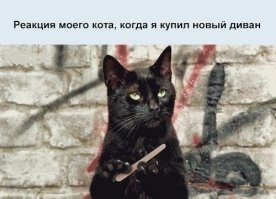 Смешные комментарии и высказывания из социальных сетей