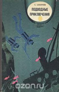 В 1972 вышла отличная детская книжка С.Сахарнова "Подводные приключения". Вот там на более чем доступном уровне рассказывалось (повесть "Подводный дом"  в составе книжки) о проекте "Садко".