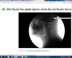 Это мерзко? хах, да ужас просто