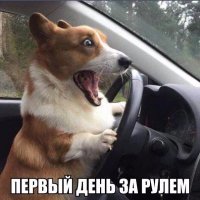 ... тот баклан на встречной.