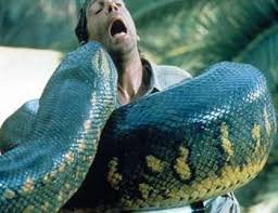 да уж....соберешься вот так вот на работу ,а тебя твой любимый питомец не отпускает))))))))))))))