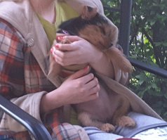 Чуть перебрал :)