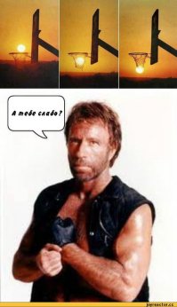 Болельщики баскетбольного клуба "Торонто Рэпторс" устроили себе оригинальную свадебную фотосессию