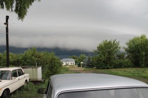Липецкая область 11 год