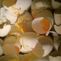 Гиперреалистичные рисунки этой художницы вызовут у вас острое чувство голода