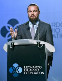 Редкие фотографии звезд. Леонардо Ди Каприо