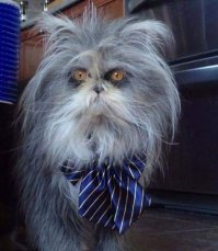 Класно. Теперь будет с кем выпить.