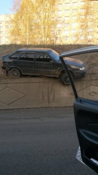 собачки испугался