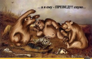 Он похож на большую плюшевую игрушку! 300-килограммовый медведь в качестве домашнего питомца