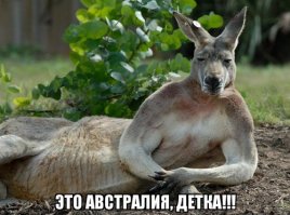 15 причин, почему Австралия - бесконечное приключение 