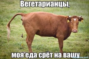 9 советов бывалых охотников