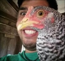 24 фотографии, которые заставят вас взглянуть на них дважды