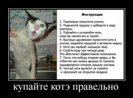А вы купаете своего любимца?
