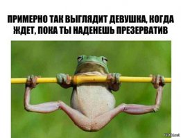 Картинка про лягушку напомнила демотиватор один