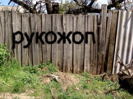 Прикольные картинки из интернета