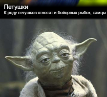 Гребаный ЕГЭ...