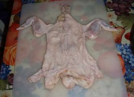 55-летняя британка похудела на 20 килограммов и стала бикини-моделью  