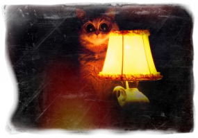 Идеальная девушка