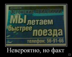 Прикольные картинки из интернета