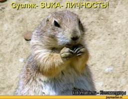 опасные, неопасные...зато суслик...