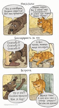 В чем причина вражды между кошками и собаками