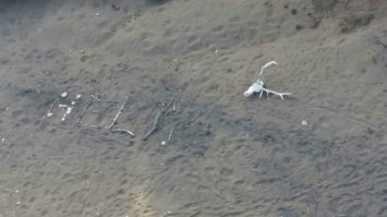 Не все пережили встречу с потерявшейся пенсионеркой.