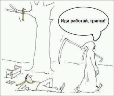 Прикольные картинки из интернета