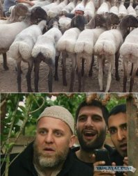 Зачем бабу заводить?