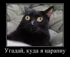 Мяу-мяу нового урожая