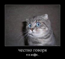 25 оттенков удивления в животном мире