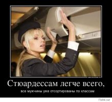 Пристегните ремни: откровения стюардессы о том, как мы летаем