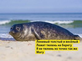 17 атмосферных фотографий о долгожданном летнем отдыхе