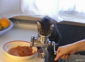 Не политические комментарии и картинки из соц. сетей 