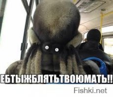 Сумасшедшие фотографии животных, которые точно вас удивят