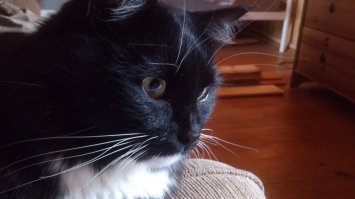 добавлю от себя :)