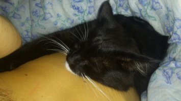 добавлю от себя :)