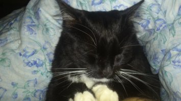 добавлю от себя :)