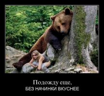 Он похож на большую плюшевую игрушку! 300-килограммовый медведь в качестве домашнего питомца