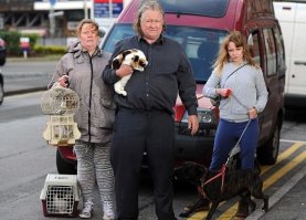 Семья из Ньюпорта (США) - автор, на фото Fiat Doblo 
В США никогда не поставлялся тем более что на втором фото видно что он с правым рулем и через окно видно припаркованные машины с номерами желтого цвета из чего следует сделать вывод что фото сделано в Великобритании