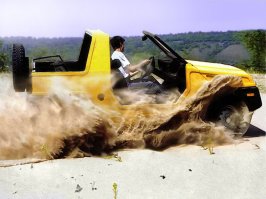 Забыли еще про Бору, Фору, 2123 и туеву хучу модификаций (с дизелем пежо, мотором от 412, узамовским мотором 1,7 и 2,0)