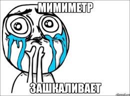 Тюлени - самые настоящие щенки океана 