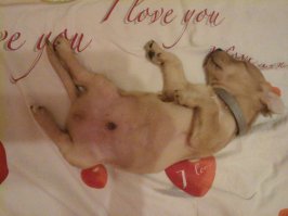 Наш Патрик.